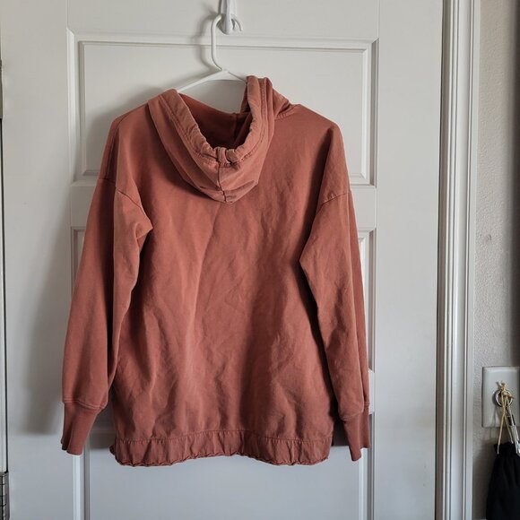 American Eagle Sunwashed Desert Hoodie in Canyon Clay - Picture 6 of 6